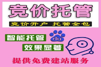 成功案例：信息流广告投放公司的创意与执行
